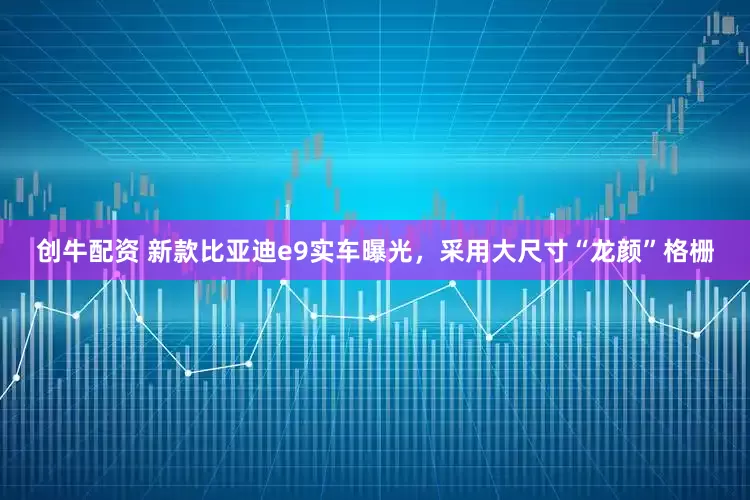 创牛配资 新款比亚迪e9实车曝光，采用大尺寸“龙颜”格栅