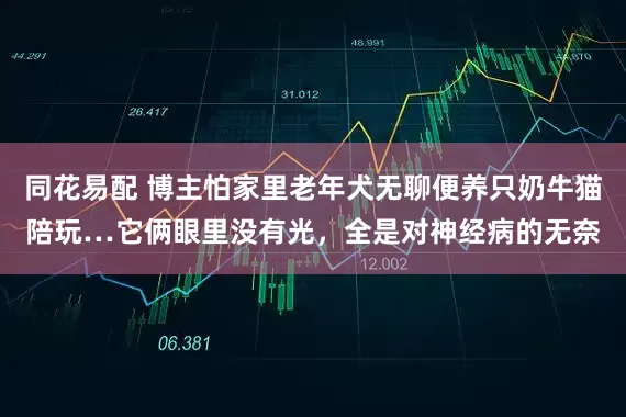 同花易配 博主怕家里老年犬无聊便养只奶牛猫陪玩…它俩眼里没有光，全是对神经病的无奈