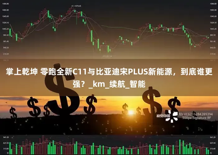 掌上乾坤 零跑全新C11与比亚迪宋PLUS新能源，到底谁更强？_km_续航_智能