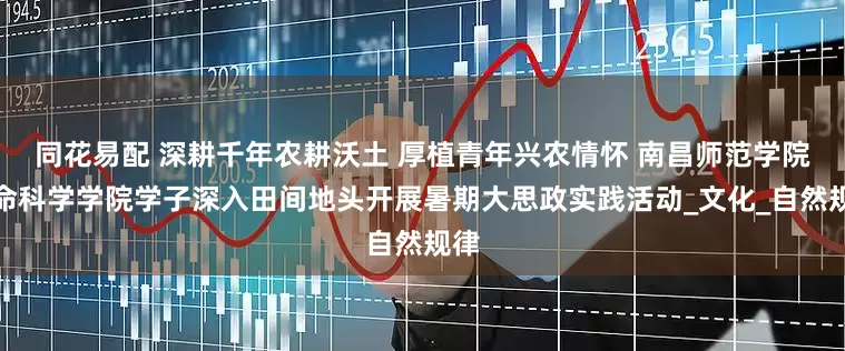 同花易配 深耕千年农耕沃土 厚植青年兴农情怀 南昌师范学院生命科学学院学子深入田间地头开展暑期大思政实践活动_文化_自然规律