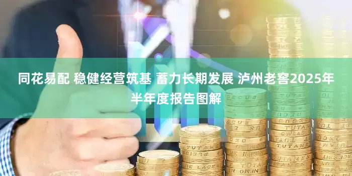 同花易配 稳健经营筑基 蓄力长期发展 泸州老窖2025年半年度报告图解
