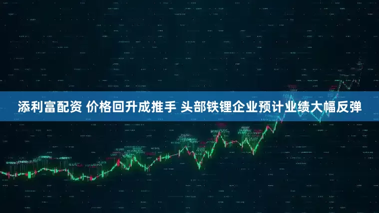 添利富配资 价格回升成推手 头部铁锂企业预计业绩大幅反弹